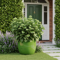 Bloem Terra Planter in Living Green