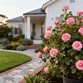 Bloomables? Brick House? Pink Rose