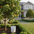 Growscripts Citrus Tree Care Kit