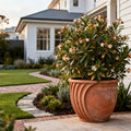 Crescent Garden Pleat Modern Planter in Weathered Terracotta