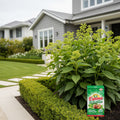 Espoma Bio-Tone? Starter Plus Organic Fertilizer - ESP-BIO