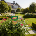Espoma Garden Food 5-10-5