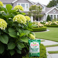 Espoma Plant-tone? Organic Fertilizer