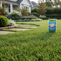 Espoma Spring Lawn Booster - ESP-SLB
