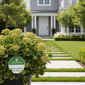 Gardenuity? Patio Garden for Mom - Mixed Herbs