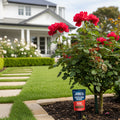 Jobe's Rose Fertilizer Spikes