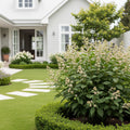 Expert Consultation: Landscape Design