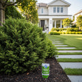 Lutz Perfect Evergreen Tree & Shrub Fertilizer Spikes