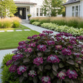 Garden District Midnight Rider?  Hydrangea Bush