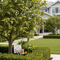 Growscripts Orchard Tree Care Kit