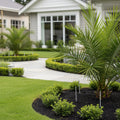 Lutz Palm Tree Fertilizer Spikes