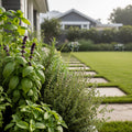 Gardenuity? Patio Herb Garden