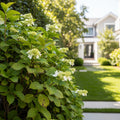 Expert Consultation: Plant Care