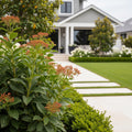 Expert Consultation: Plant Selection