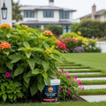 Root Rocket? Fertilizer (10 lb. Container)