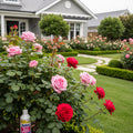 Bobbex Ready-to-Use Rose Repellent