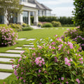 Stunner?  Weigela - Weigela florida 'Stunner'