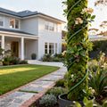 Mossify The Original Bendable Moss Pole? - Climbing Plant Support