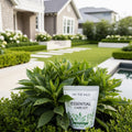 We the Wild Essential Plant Care Kit